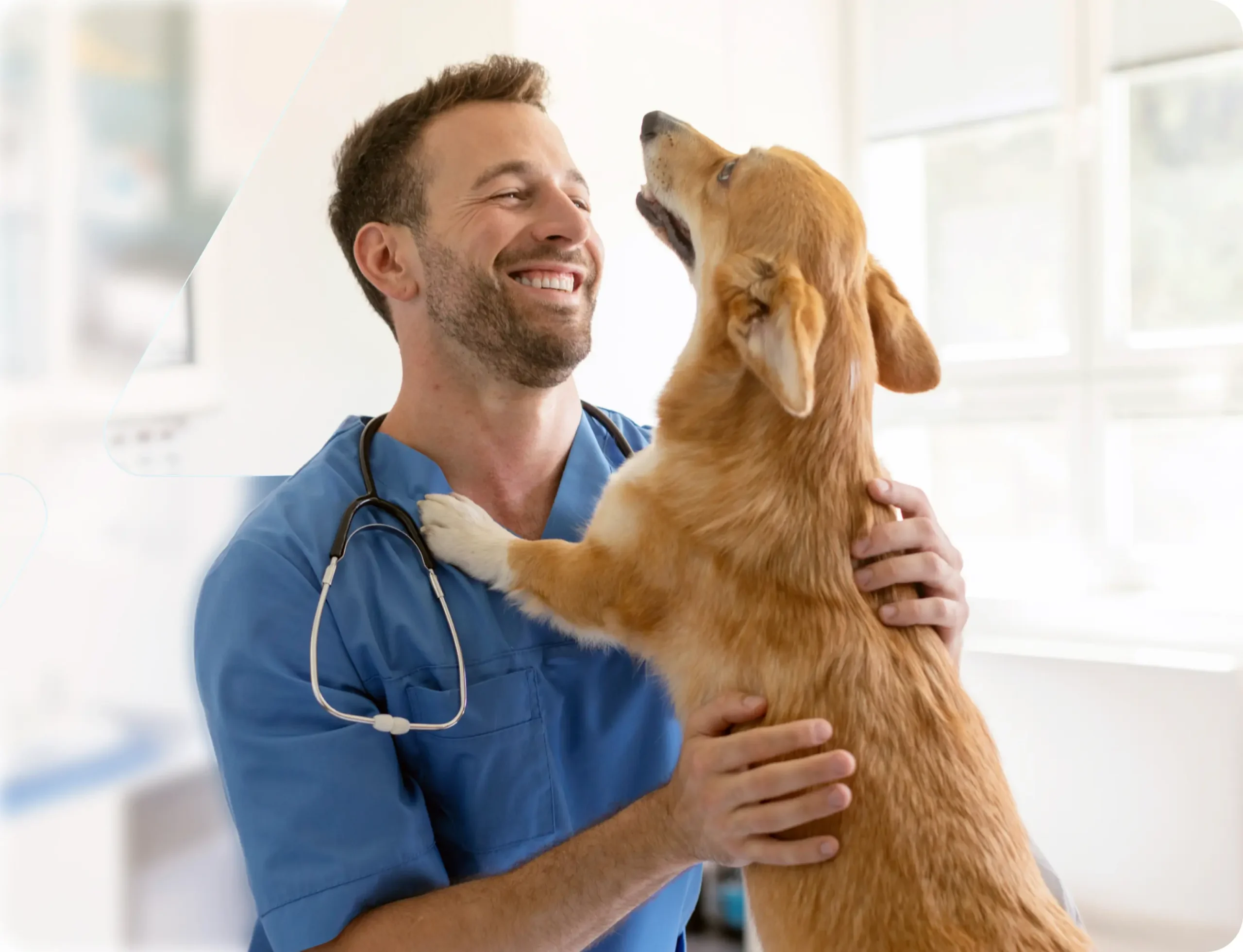 Veterinarian holding a happy dog in a clinic