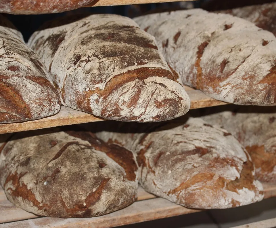 Fresh bread loaves on a bakery shelf