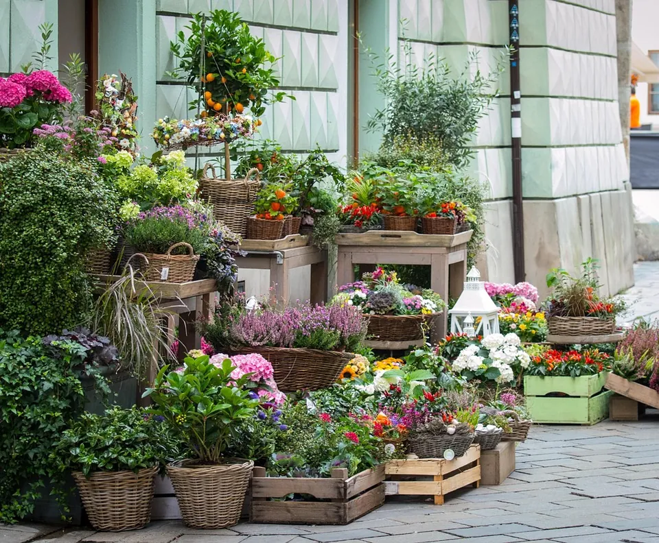 Flower shop storefront with plants outside
