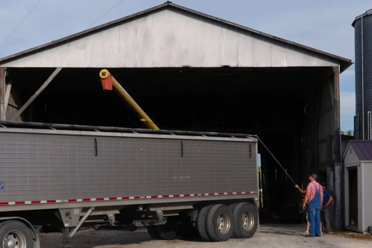Smith Grain Company: Personal Service for a Tennessee Grain Buyer