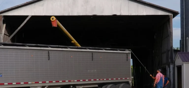 Grain trailer at the Smith Grain Company shed in Tennessee