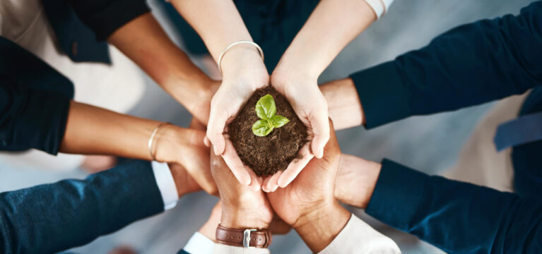 High angle shot of a group of business colleagues holding a budding plant growing out of soil in their hands